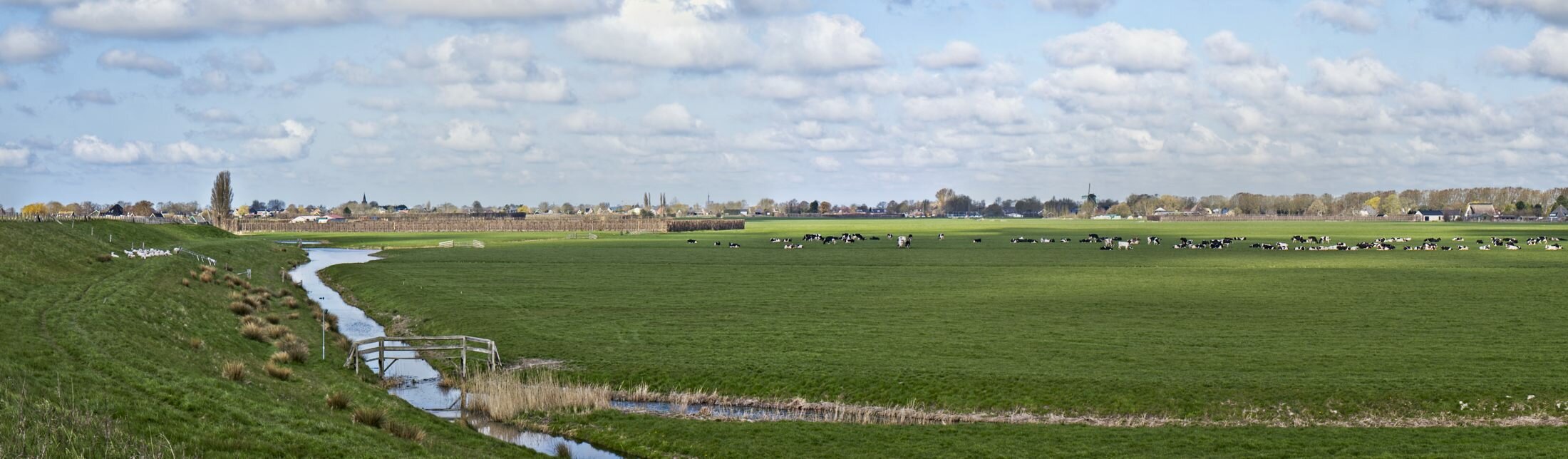 Zuiderdijk (lente)